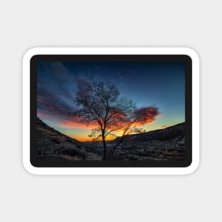 The Silhouette of a Tree Against Clouds Being Lit By the Sunrise Magnet