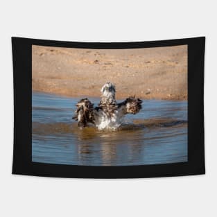 Osprey Takes A Bath Tapestry