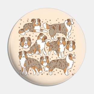 Minature american shepherd dog illustration Pin