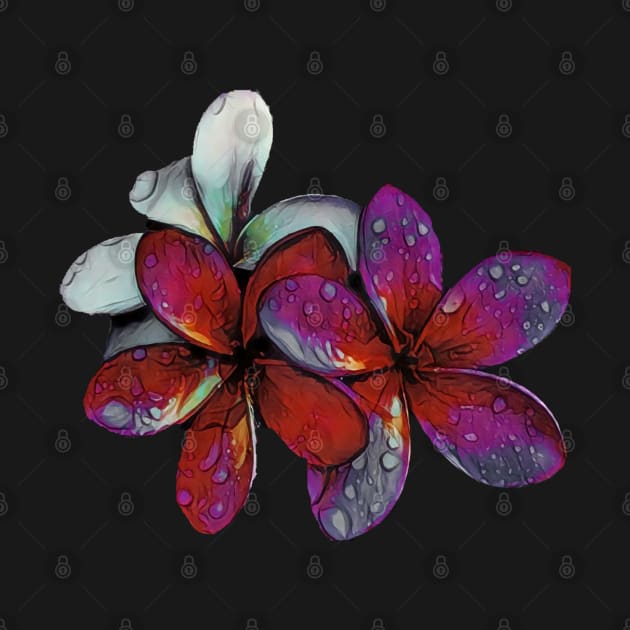 Frangipani raindrops by FlossOrFi