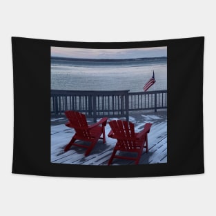 Winter view Saratoga Lake Tapestry