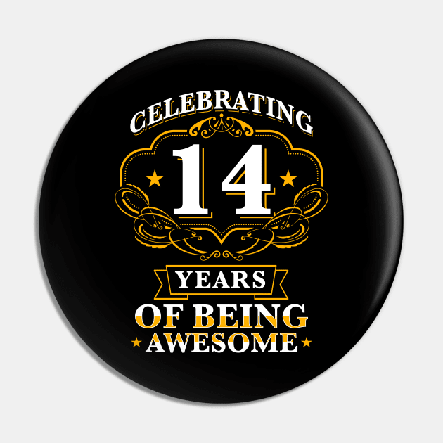 Celebrating 14 Years Pin by Cooldruck