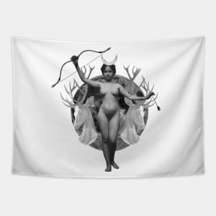 ARTEMIS Tapestry