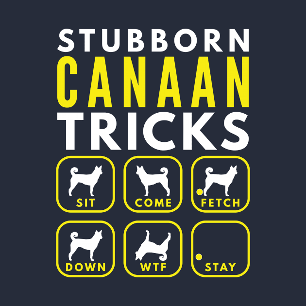 Stubborn Canaan Tricks - Dog Training by DoggyStyles