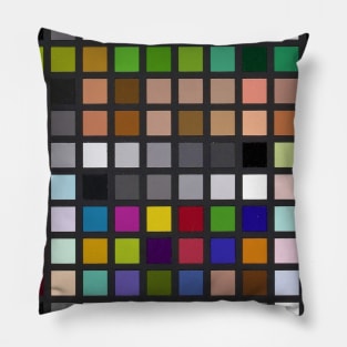 Colour Checker Grid Pillow