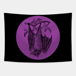 Halloween Bat, Omens, Signs, and Fortunes - Purple and Black Style Tapestry