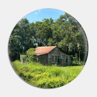 Swamp house Pin