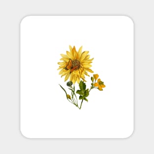 Beautiful Sunflower with butterfly - metamorphora Gift for nature lover Magnet