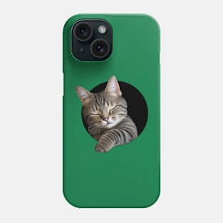 Cute sleeping kitten (too cute!) Phone Case