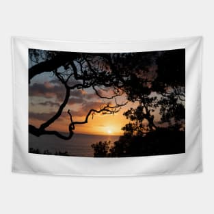 Sunrise over coast framed by silhouette foliage of pohutukawa tree on edge of slope. Tapestry