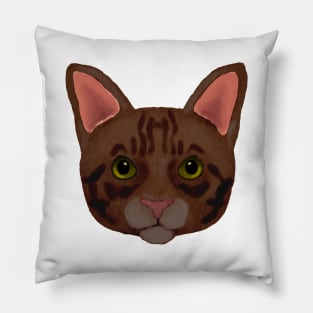 Brown Tabby cat Pillow