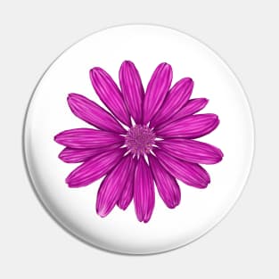 fuchsia color Pin