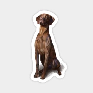 The Hungarian Vizsla Magnet