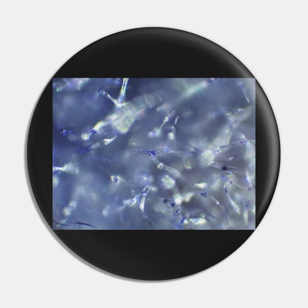 Lavender flower under microscope Pin by SDym Photography