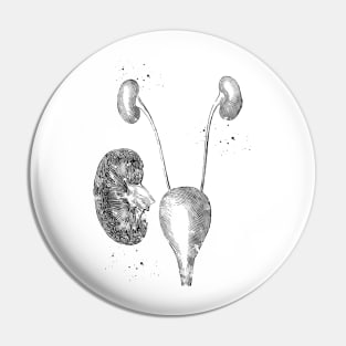 Urinary system Pin