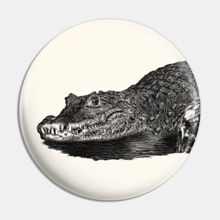 Dwarf crocodile Pin