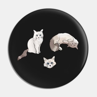 Ragdoll Cat Drawing Set Pin