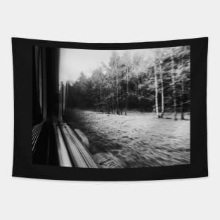 Traveling Fast By Train in Black and White Tapestry