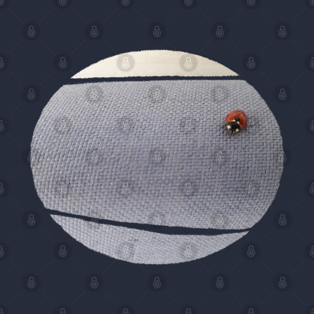 Ladybug by TenomonMalke