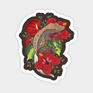 Crested Gecko with Hibiscus and Anthurium Magnet