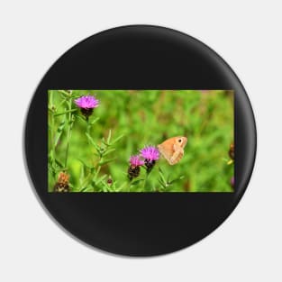 Ringlet Butterfly Pin