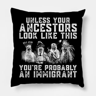 American Indian You're Probably An Immigrant Pillow