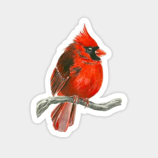 Cardinal bird Magnet by katerinamk