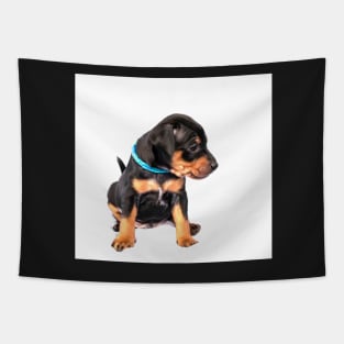 Black and tan Miniature Pinscher puppy at white background Tapestry