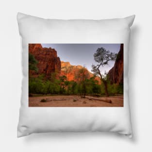 Early Morning Solitude At Zion © Pillow