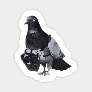 Flying Pigeon with Miniature Pigeon Camera Drone Photography Magnet