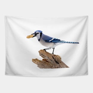 This is my peanut! Blue Jay Tapestry