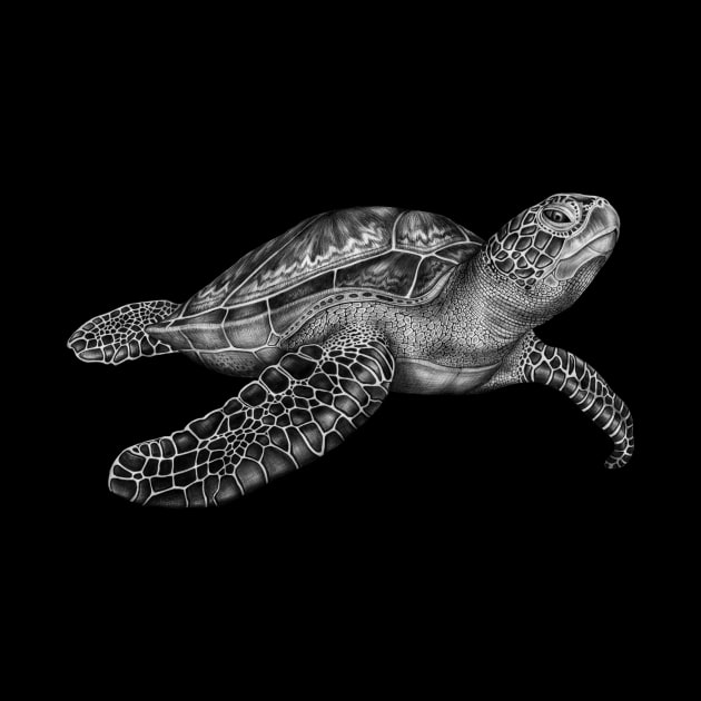 Sea Turtle by Tim Jeffs Art