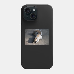 Mr Squirrel, pleased to meet you Phone Case