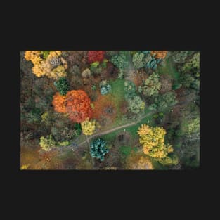 Fall colours from above 3 T-Shirt