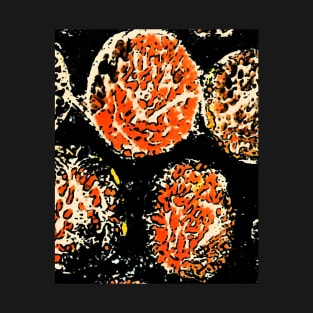 Orange sea balls T-Shirt