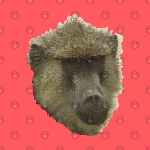 Baboon Monkey Portrait by ellenhenryart