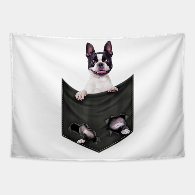 Boston Terrier Dog In Pocket Tapestry by Xamgi