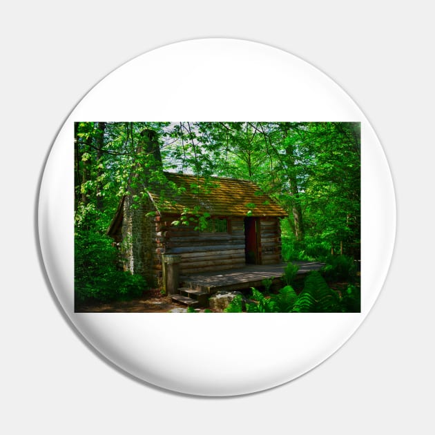 Nestled In The Woods Pin by JimDeFazioPhotography