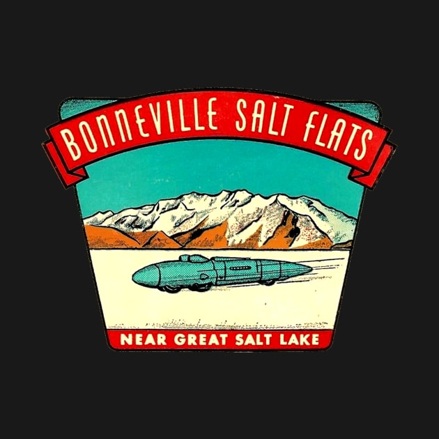 Bonneville Salt Flats Utah Vintage by Hilda74