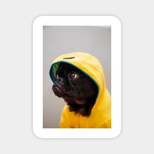 Raincoat Pup Magnet