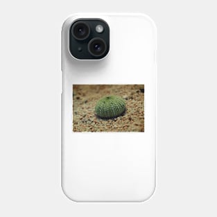 Sea Urchin on a Beach Phone Case