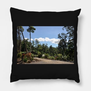 Australie - Cairns, Kuranda Pillow