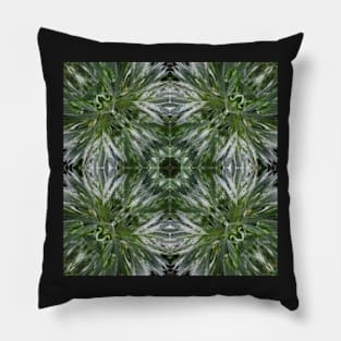 Stocksom Artemisia 5 Pillow