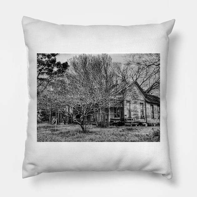 Disturbance At The Heron House - Black And White Pillow by davidbstudios