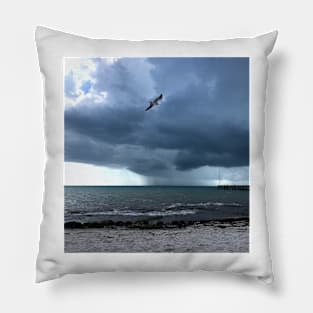 Storm and Gull, Key West Pillow