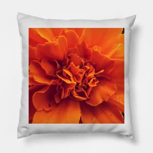 African Marigold Pillow