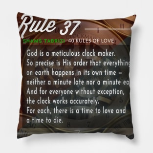 40 RULES OF LOVE - 37 Pillow