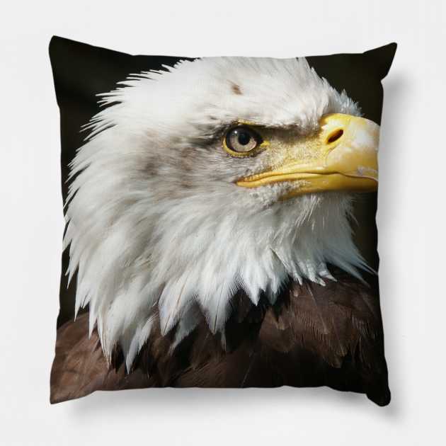 Bald Eagle Pillow by  Karma Institute