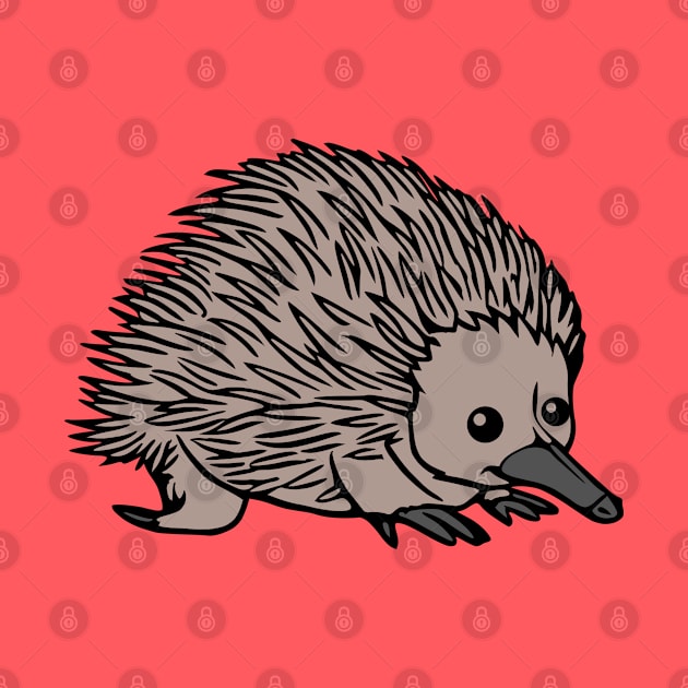 Echidna by KayBee Gift Shop