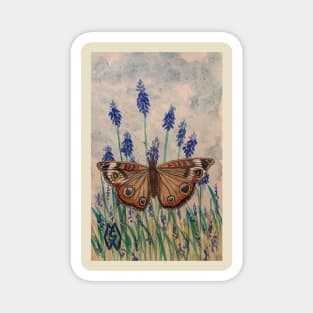 Buckeye butterfly in the grape hyacinth flowers Magnet